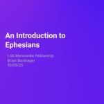 Lott Mennonite Fellowship