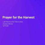 Lott Mennonite Fellowship